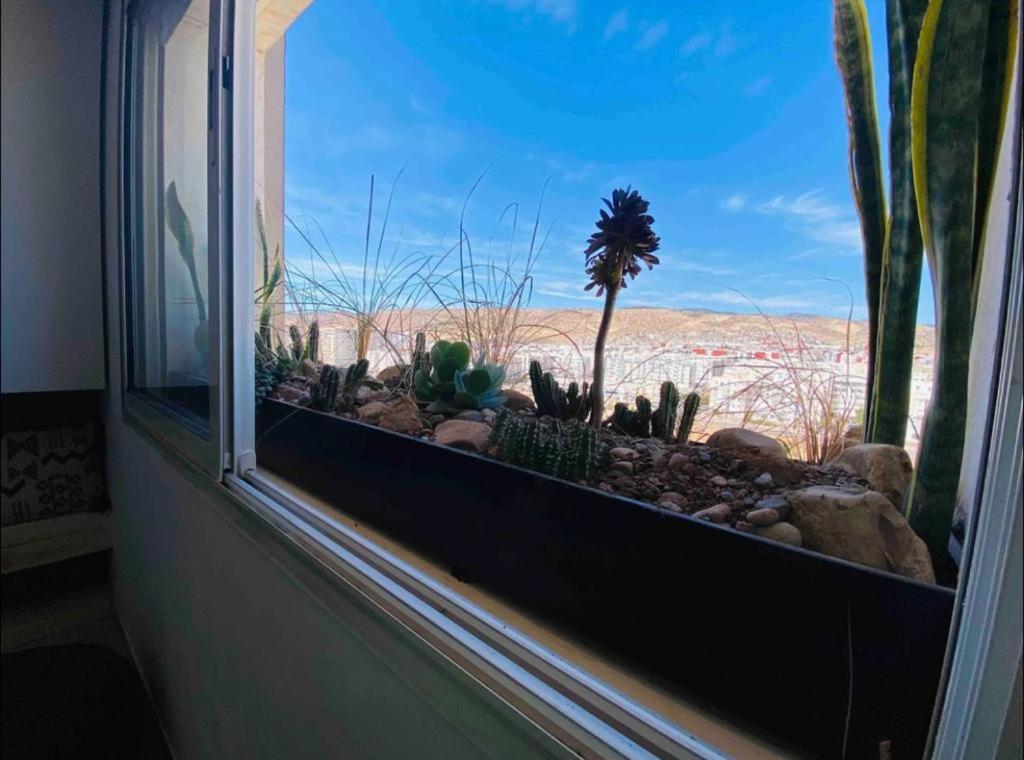 אגאדיר Islan Bay Apartment מראה חיצוני תמונה